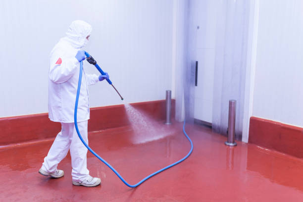 Best Warehouse Cleaning  in Flying Hills, PA